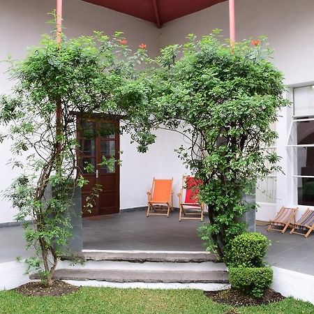 La Casa De Las Magnolias Hotel Coyoacan Екстериор снимка
