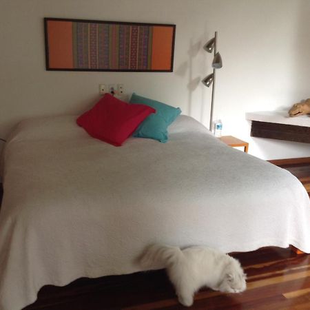 La Casa De Las Magnolias Hotel Coyoacan Екстериор снимка