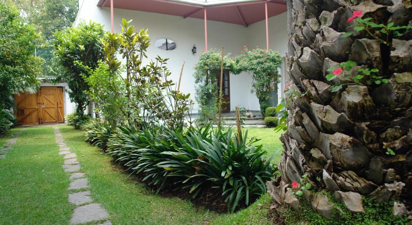 La Casa De Las Magnolias Hotel Coyoacan Екстериор снимка