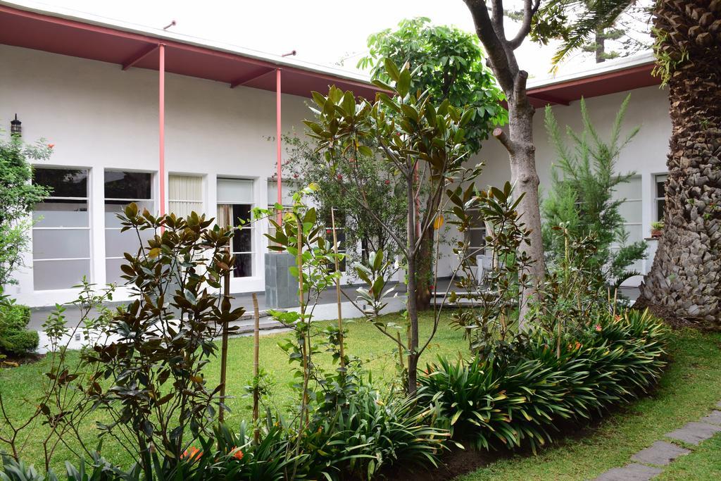 La Casa De Las Magnolias Hotel Coyoacan Екстериор снимка