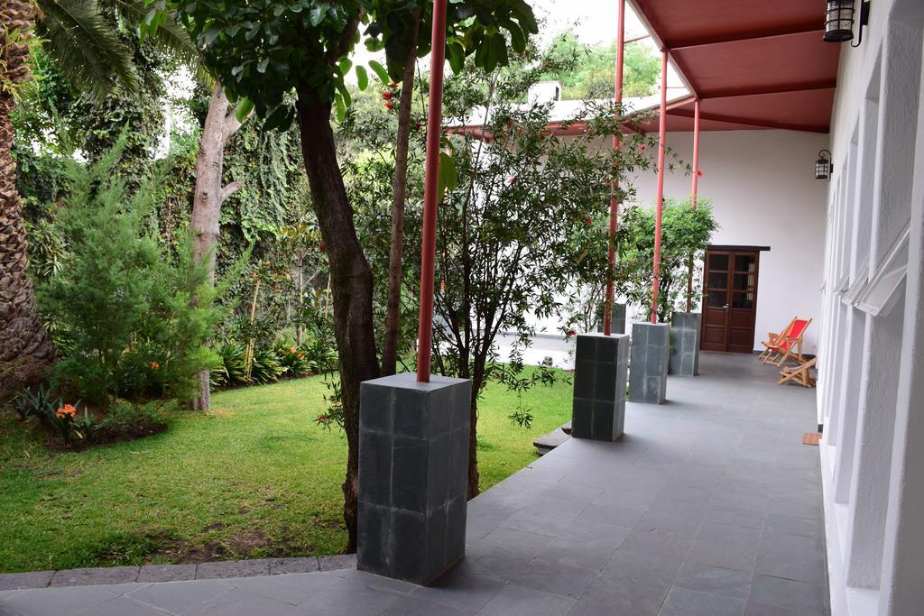 La Casa De Las Magnolias Hotel Coyoacan Екстериор снимка