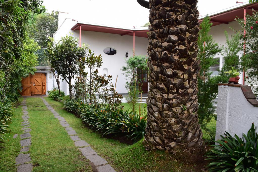 La Casa De Las Magnolias Hotel Coyoacan Екстериор снимка