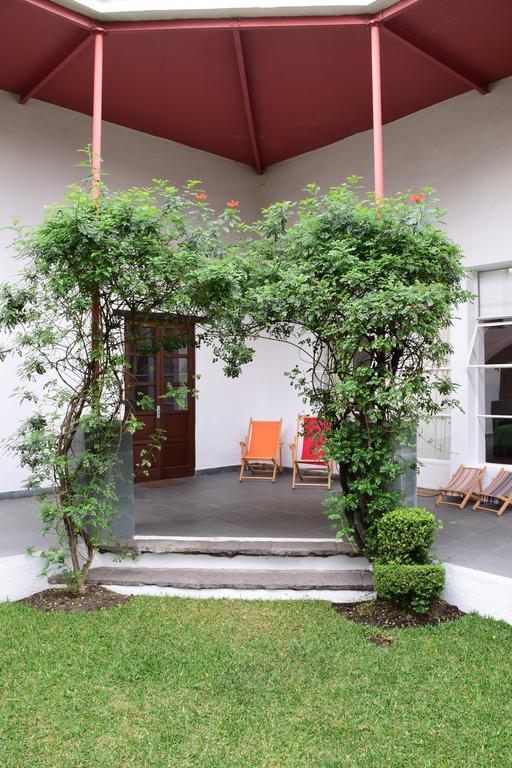 La Casa De Las Magnolias Hotel Coyoacan Екстериор снимка