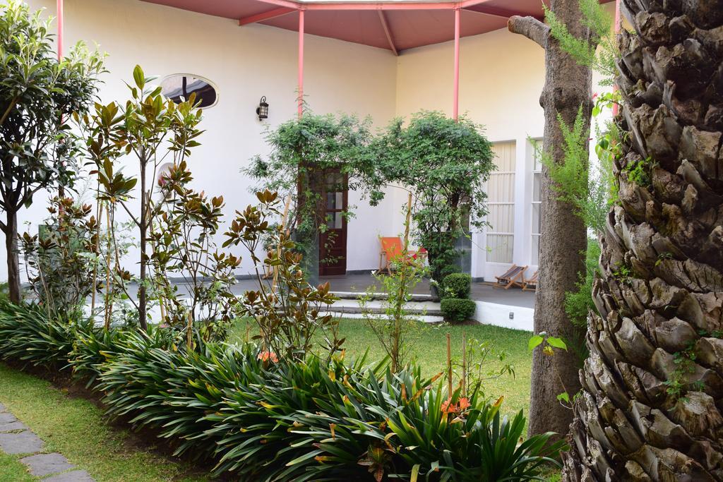 La Casa De Las Magnolias Hotel Coyoacan Екстериор снимка