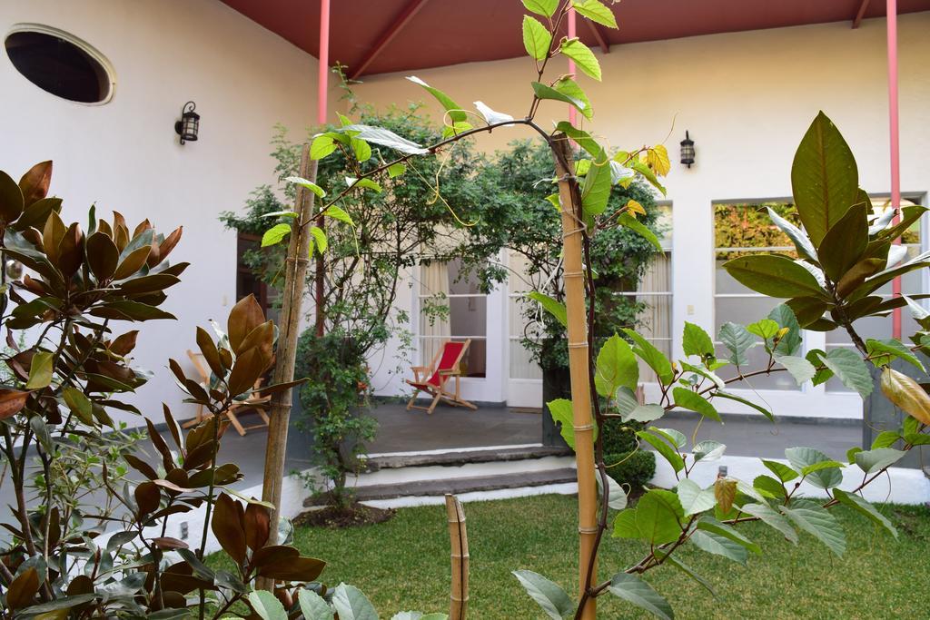 La Casa De Las Magnolias Hotel Coyoacan Екстериор снимка