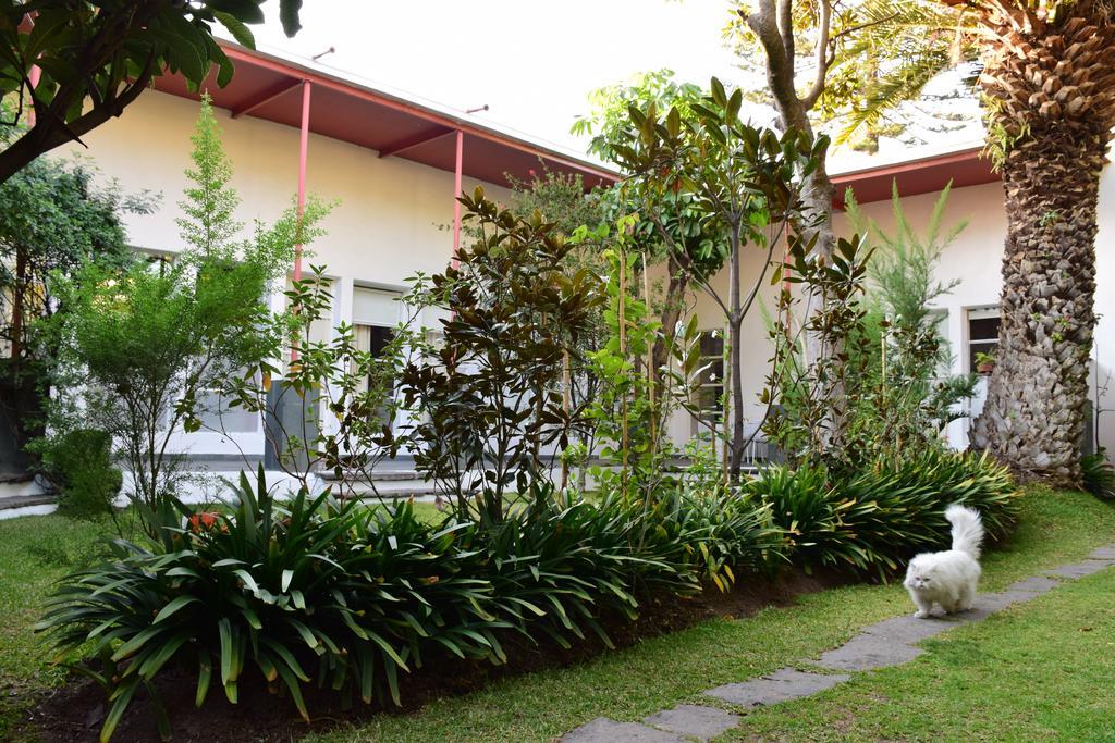 La Casa De Las Magnolias Hotel Coyoacan Екстериор снимка