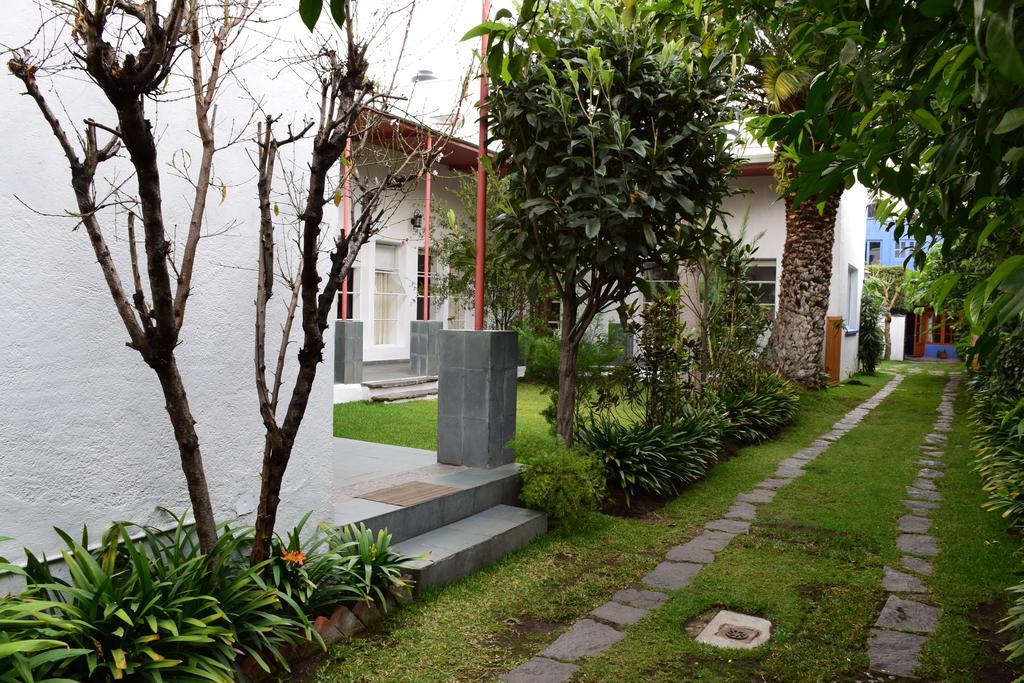 La Casa De Las Magnolias Hotel Coyoacan Екстериор снимка
