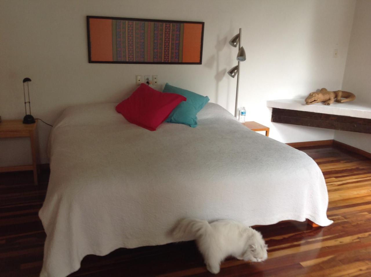 La Casa De Las Magnolias Hotel Coyoacan Екстериор снимка